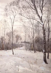 Der Winterwald