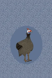 Perlhuhn
