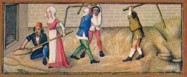 Juli - Dreschen, 15. Jahrhundert