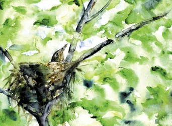 Babyvogel grünes Nest