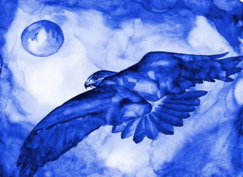 Blauer Falkenmondflug