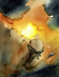 Adler im Sonnenuntergang