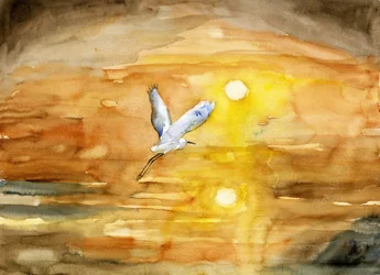 Flug des Silberreihers im goldenen Sonnenuntergang