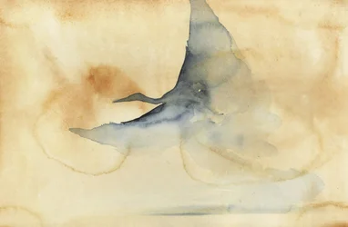 Ätherischer Vogel im Flug