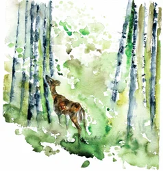 Waldreh-Aquarell