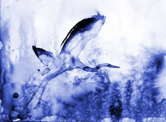Anmutiger blauer Reiher