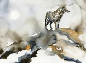 Einsamer Wolf Mond