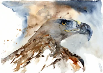 Majestätischer Aquarell-Adler