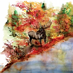 Elch im bunten Herbst