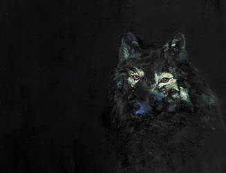 Geheimnisvoller schwarzer Wolf