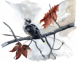 Friedlicher Herbstvogel