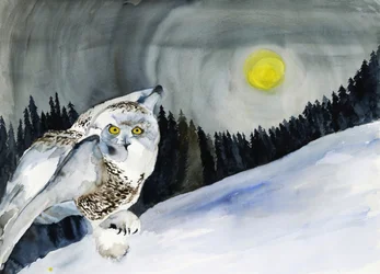 Schneeeule Wintermond