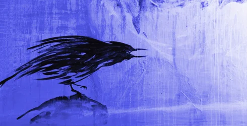 Stürmischer blauer Rabe