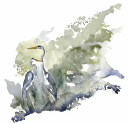 Zwei Reiher ruhiger Teich
