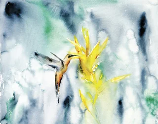 Lebendiger Kolibri-Blüte