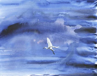 Weißer Reiher blauer Himmel