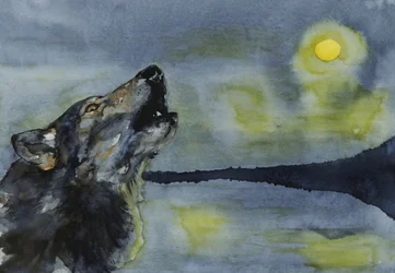 Wolf heult zum Mond