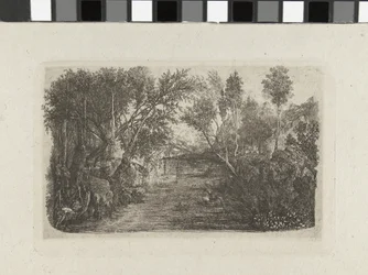 Landschaft mit Bach und Bäumen an den Ufern