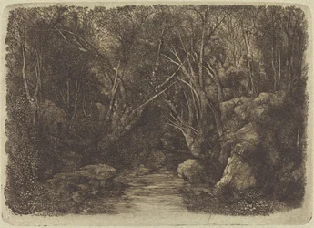 Der Bach im Wald