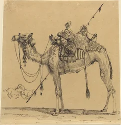 Das Kamel