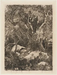 Der Wald von Fontainebleau