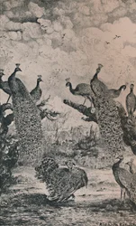 Die Pfauen, 1869, 1946