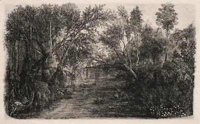 Der Bach