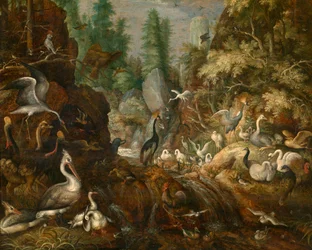 Vogelparadies