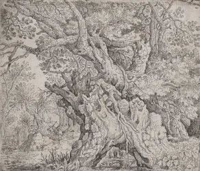 Knotiger Baum, ca. 1608-1609