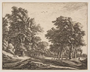 Nr. 4, aus Sechs Ansichten im Wald von Den Haag
