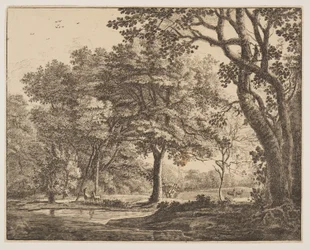 Tafel 6, aus Sechs Ansichten im Wald von Den Haag