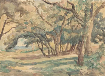 Waldlichtung in der Nähe von St. Tropez