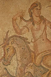 Eine Nymphe, aus dem Haus von Jason Magnus