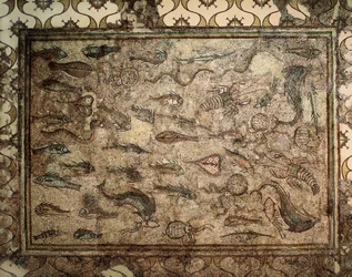 Römische Kunst: Fischmosaik