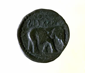 Karthagische Münze, die einen Elefanten darstellt. 3. oder 2. Jahrhundert v. Chr.