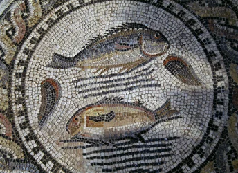Fische, Mosaik in der römischen Stadt Volubilis (UNESCO-Welterbeliste)