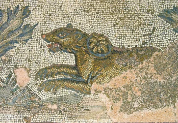 Jagdszene, Detail einer Löwin, Haus des Dionysos, Paphos, Zypern