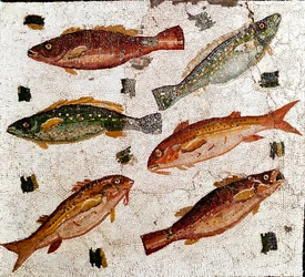Römische Kunst: Mosaik, das Fische darstellt. 1. Jahrhundert v. Chr. Rom, Museo Nazionale Romano