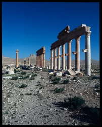 Ansicht der Überreste von Palmyra