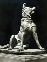 Bullmastiff-Hund