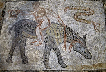 Desultor, der rückwärts auf einem Esel reitet und einen Kantharos hält, Mosaik im Haus des Desultors in der römischen Stadt Volubilis