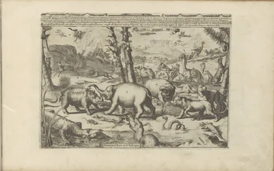 Asiatische und afrikanische Tiere