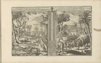 Tiere aus Westindien