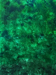 Üppige grüne Textur