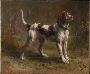 Ein Limier Briquet Hund