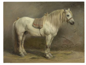 Ein weißes Pferd