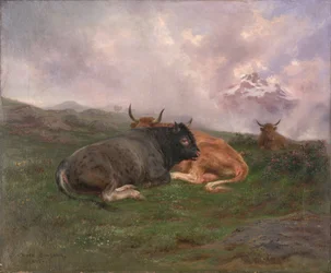 Rinder ruhen auf einem Hügel in den Alpen