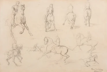 Studien eines Pferdes und Reiters