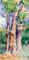 Studie von Bäumen, um 1842-1899