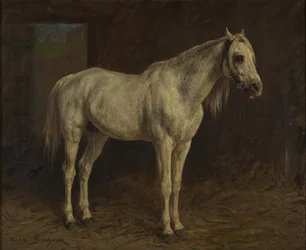 Weißes Pferd